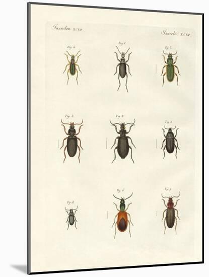 Beautiful German Beetles-null-Mounted Giclee Print