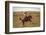 Beautiful Girl Riding a Horse  in Countryside.-PH.OK-Framed Photographic Print