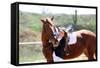 Beautiful Girl with Horse Outdoors-Yastremska-Framed Stretched Canvas