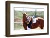 Beautiful Girl with Horse Outdoors-Yastremska-Framed Photographic Print