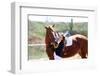 Beautiful Girl with Horse Outdoors-Yastremska-Framed Photographic Print