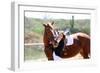 Beautiful Girl with Horse Outdoors-Yastremska-Framed Photographic Print