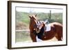 Beautiful Girl with Horse Outdoors-Yastremska-Framed Photographic Print