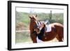 Beautiful Girl with Horse Outdoors-Yastremska-Framed Photographic Print