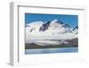 Beautiful glacial scenery of Salisbury Plain, South Georgia, Antarctica-Michael Runkel-Framed Photographic Print