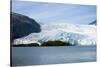 Beautiful Glaciers Drop into the Ocean in Kenai Fjords NP, Alaska-Rick Daley-Stretched Canvas