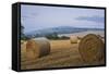 Beautiful Golden Hour Hay Bales Sunset Landscape-Veneratio-Framed Stretched Canvas