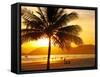 Beautiful Golden Sunset On The Beach Of The City Of Santos In Brazil-fabio fersa-Framed Stretched Canvas