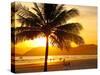 Beautiful Golden Sunset On The Beach Of The City Of Santos In Brazil-fabio fersa-Stretched Canvas