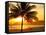 Beautiful Golden Sunset On The Beach Of The City Of Santos In Brazil-fabio fersa-Framed Stretched Canvas