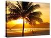 Beautiful Golden Sunset On The Beach Of The City Of Santos In Brazil-fabio fersa-Stretched Canvas