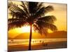 Beautiful Golden Sunset On The Beach Of The City Of Santos In Brazil-fabio fersa-Mounted Photographic Print
