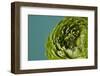 Beautiful Green Flower-artjazz-Framed Photographic Print