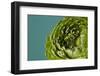 Beautiful Green Flower-artjazz-Framed Photographic Print