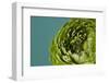 Beautiful Green Flower-artjazz-Framed Photographic Print