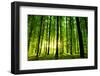 Beautiful Green Forest-Ruslan Ivantsov-Framed Photographic Print