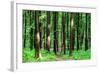 Beautiful Green Forest-Ruslan Ivantsov-Framed Photographic Print