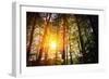 Beautiful Green Forest-Ruslan Ivantsov-Framed Photographic Print