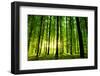 Beautiful Green Forest-Ruslan Ivantsov-Framed Photographic Print