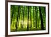 Beautiful Green Forest-Ruslan Ivantsov-Framed Photographic Print