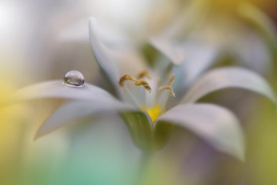 Photo, , large