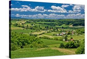 Beautiful Green Scenery Landscape in Spring Time-xbrchx-Stretched Canvas