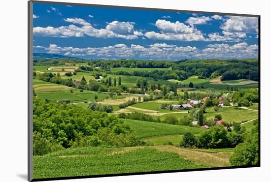 Beautiful Green Scenery Landscape in Spring Time-xbrchx-Mounted Photographic Print