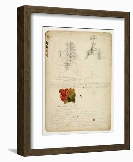 Beautiful Groups of Pines; Tints from Maples, New Hampshire, September 30th 1828-Thomas Cole-Framed Giclee Print