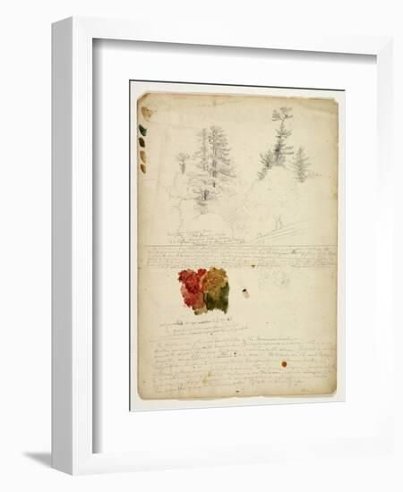 Beautiful Groups of Pines; Tints from Maples, New Hampshire, September 30th 1828-Thomas Cole-Framed Giclee Print