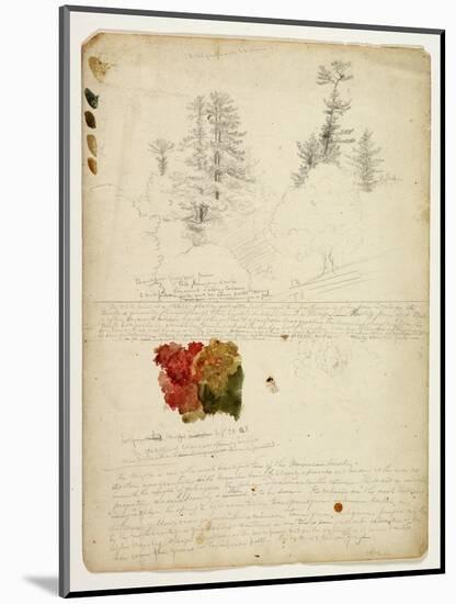 Beautiful Groups of Pines; Tints from Maples, New Hampshire, September 30th 1828-Thomas Cole-Mounted Giclee Print