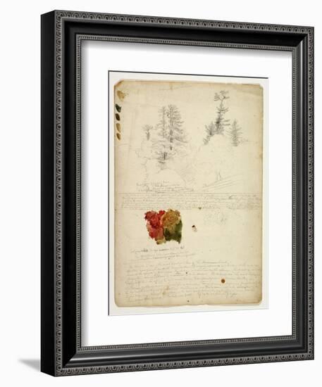 Beautiful Groups of Pines; Tints from Maples, New Hampshire, September 30th 1828-Thomas Cole-Framed Giclee Print