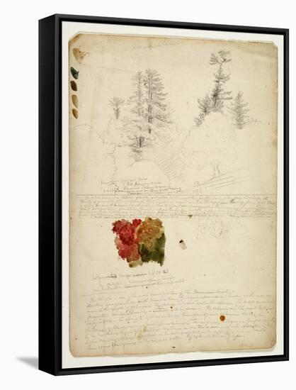 Beautiful Groups of Pines; Tints from Maples, New Hampshire, September 30th 1828-Thomas Cole-Framed Stretched Canvas