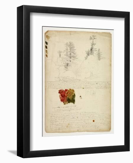 Beautiful Groups of Pines; Tints from Maples, New Hampshire, September 30th 1828-Thomas Cole-Framed Premium Giclee Print
