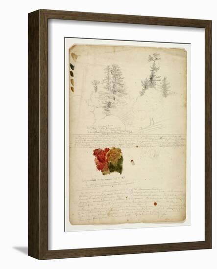 Beautiful Groups of Pines; Tints from Maples, New Hampshire, September 30th 1828-Thomas Cole-Framed Giclee Print