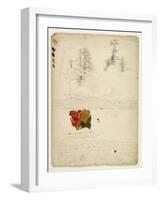 Beautiful Groups of Pines; Tints from Maples, New Hampshire, September 30th 1828-Thomas Cole-Framed Giclee Print