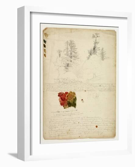 Beautiful Groups of Pines; Tints from Maples, New Hampshire, September 30th 1828-Thomas Cole-Framed Giclee Print