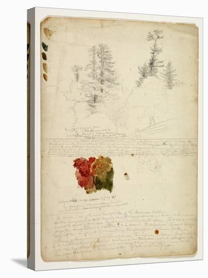 Beautiful Groups of Pines; Tints from Maples, New Hampshire, September 30th 1828-Thomas Cole-Stretched Canvas