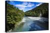 Beautiful Haast River, Haast Pass, South Island, New Zealand, Pacific-Michael Runkel-Stretched Canvas