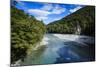 Beautiful Haast River, Haast Pass, South Island, New Zealand, Pacific-Michael Runkel-Mounted Photographic Print