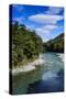 Beautiful Haast River, Haast Pass, South Island, New Zealand, Pacific-Michael Runkel-Stretched Canvas