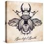 Beautiful Hand Drawn Antique Stag Beetle,The Largest Insect. Vintage Style Tattoo Vector Art. Engra-Katja Gerasimova-Stretched Canvas