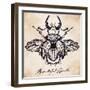 Beautiful Hand Drawn Antique Stag Beetle,The Largest Insect. Vintage Style Tattoo Vector Art. Engra-Katja Gerasimova-Framed Art Print