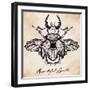 Beautiful Hand Drawn Antique Stag Beetle,The Largest Insect. Vintage Style Tattoo Vector Art. Engra-Katja Gerasimova-Framed Art Print