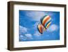 Beautiful Hot Air Balloons against a Deep Blue Sky and Clouds.-Andy Dean Photography-Framed Photographic Print