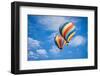 Beautiful Hot Air Balloons against a Deep Blue Sky and Clouds.-Andy Dean Photography-Framed Photographic Print