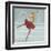 Beautiful Ice Skater-Milovelen-Framed Art Print