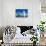 Beautiful Iceberg, Antarctica-juancat-Stretched Canvas displayed on a wall