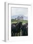 Beautiful Icelandic Horses, Southern Countryside Iceland-Vincent James-Framed Photographic Print