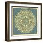 Beautiful Indian Ornament-transiastock-Framed Art Print