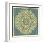 Beautiful Indian Ornament-transiastock-Framed Art Print